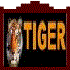 أجهزة Tiger HD+SD